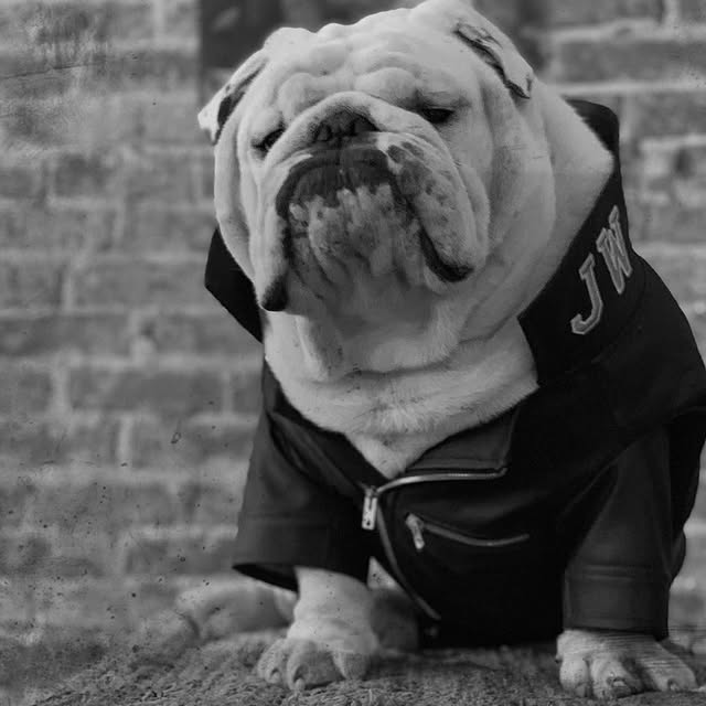  ......rwhite   'recent posts' 