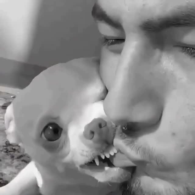  ......ogscute   'recent posts' 