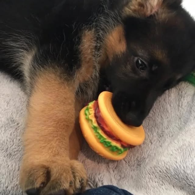  ....iming   'recent posts' 