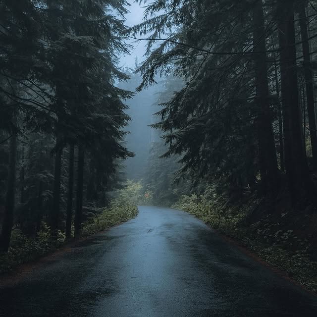  .........dventures   'recent posts' 