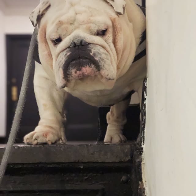  ......rwhite   'recent posts' 