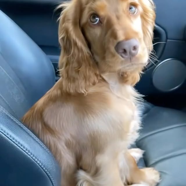  ......ofinsta   'recent posts' 