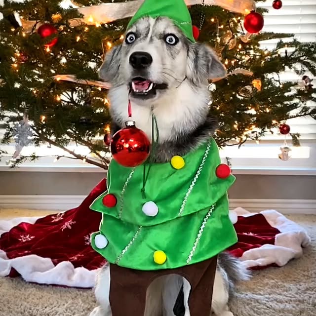  .....eteers   'recent posts' 