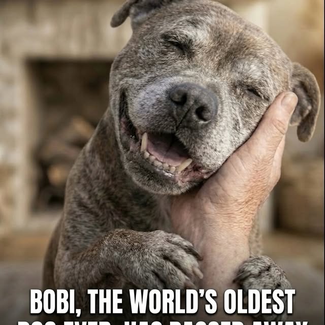  ........malsgram   'recent posts' 