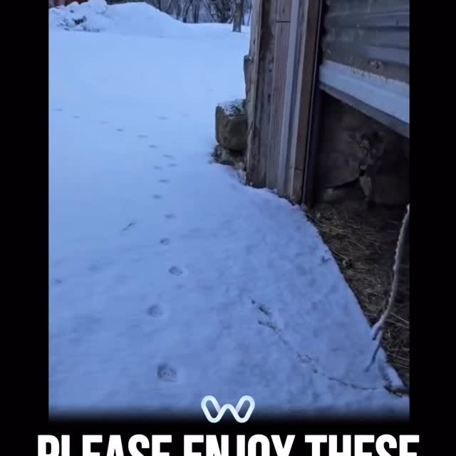  ........alth_club   'recent posts' 