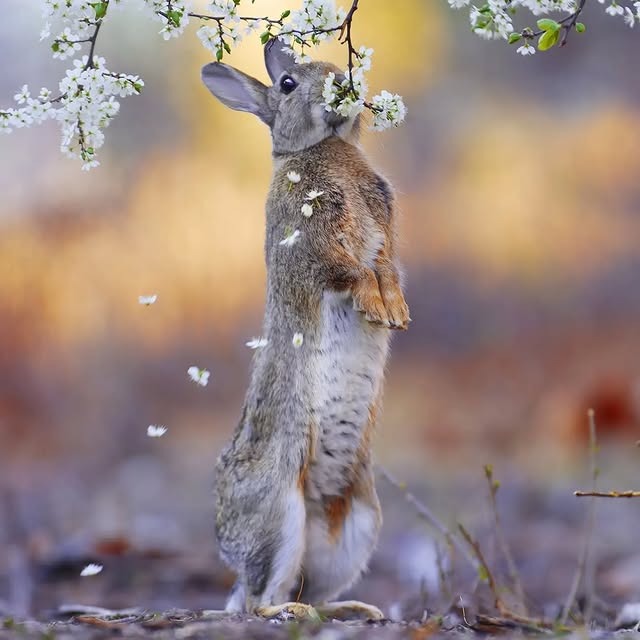  ......entpix   'recent posts' 