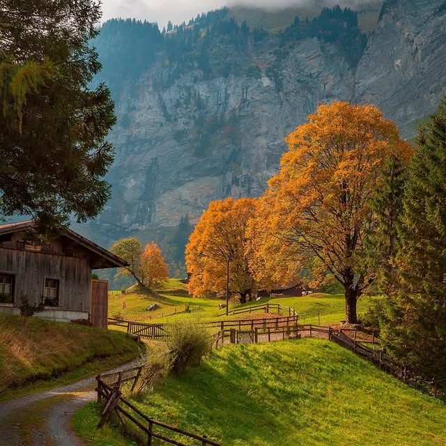  ..........discoverer   'recent posts' 