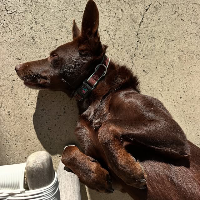  .....ecody   'recent posts' 