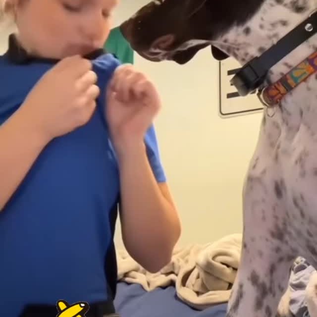  .........onanimals   'recent posts' 