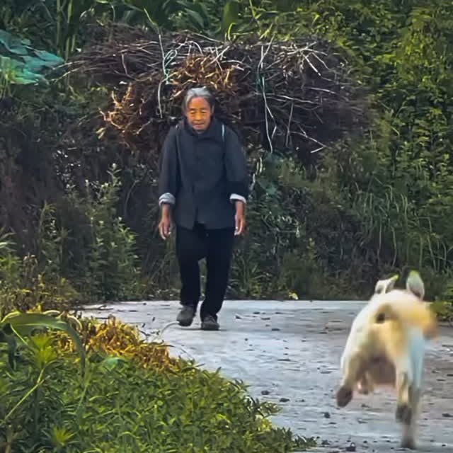  .........onanimals   'recent posts' 