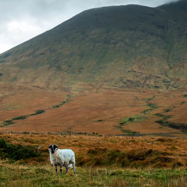  ........phpartsch   'recent posts' 