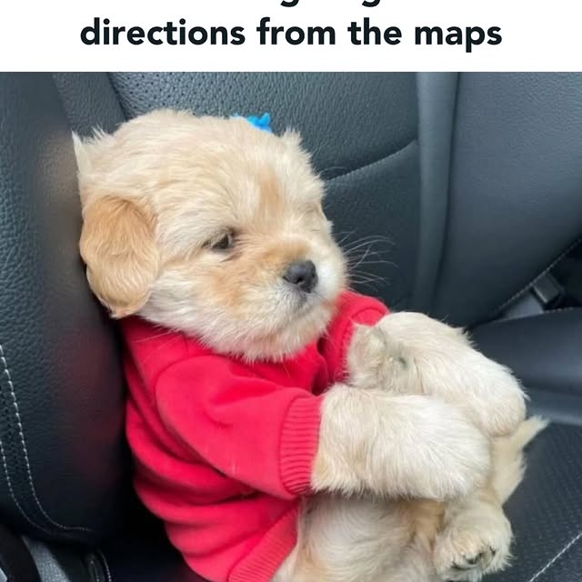  .......dstories   'recent posts' 
