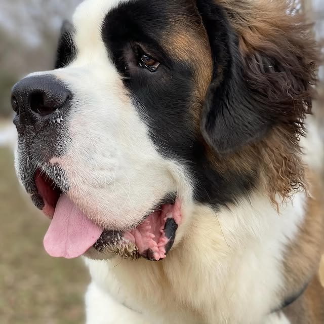  .........intbernard   'recent posts' 