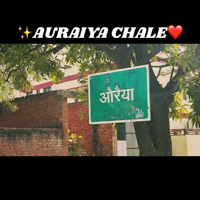  ........rkivines   'recent posts' 