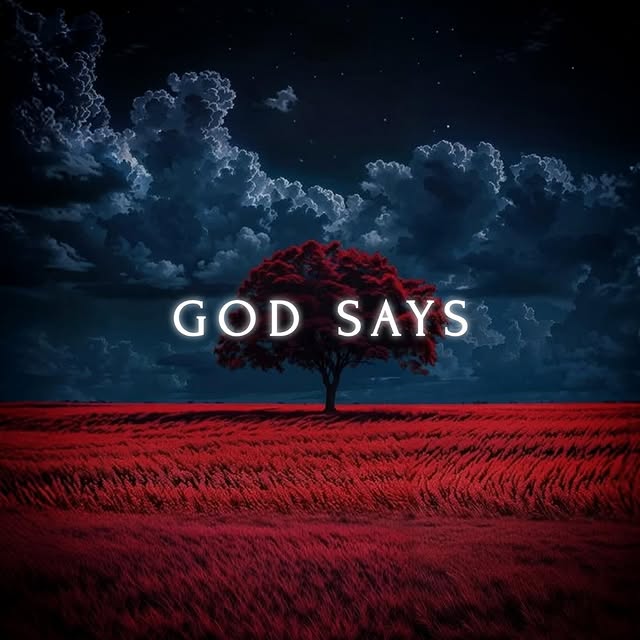  ...sayz   'recent posts' 