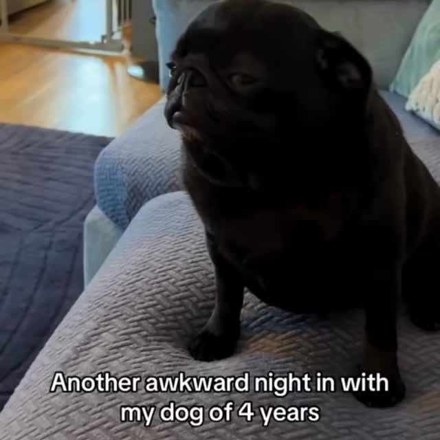  .....wners   'recent posts' 