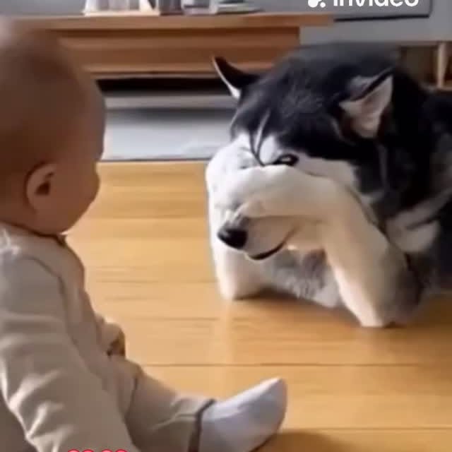  .....nly.ai   'recent posts' 