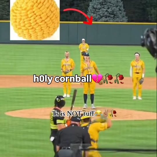  .........ereelpull   'recent posts' 