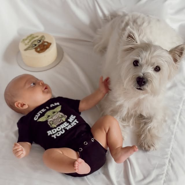  .....itcase   'recent posts' 