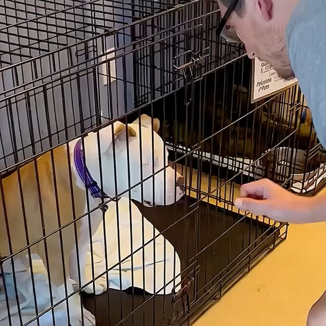  ........malsgram   'recent posts' 