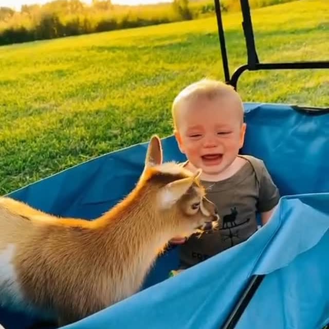  ......khabits   'recent posts' 