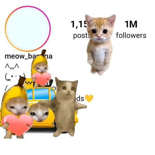  ......anacat   'recent posts' 