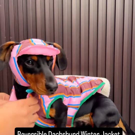  ..........fan.club_   'recent posts' 