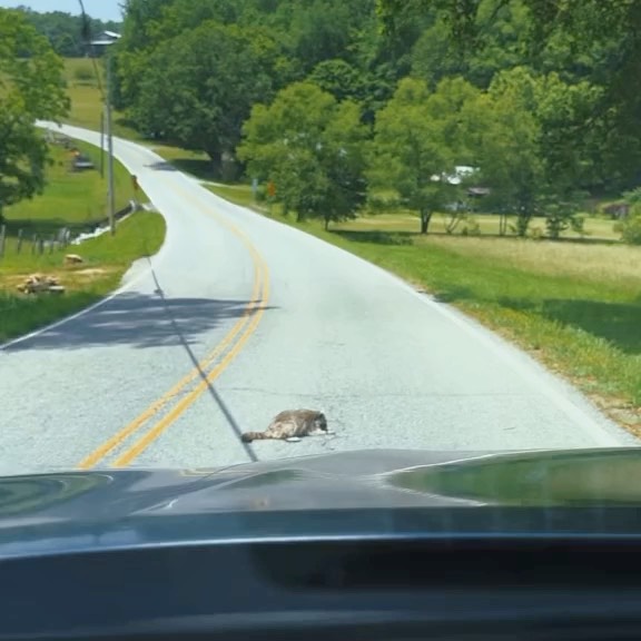  ....onnei   'recent posts' 