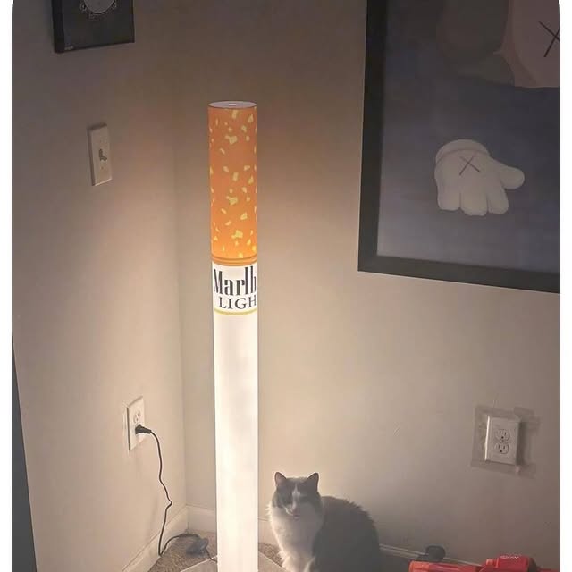  ........rmedshow   'recent posts' 