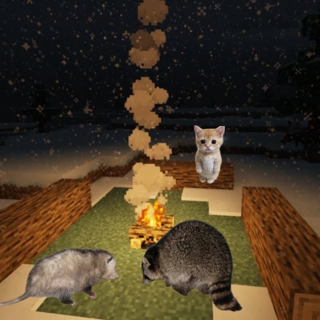  ......mthings   'recent posts' 