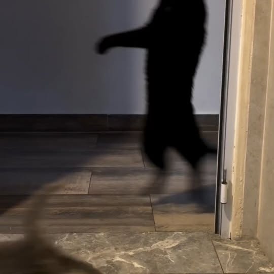  .......ats_club   'recent posts' 