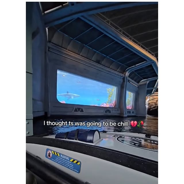  ...edy   'recent posts' 