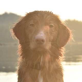 Hire ......atoller influencer with 4.4k