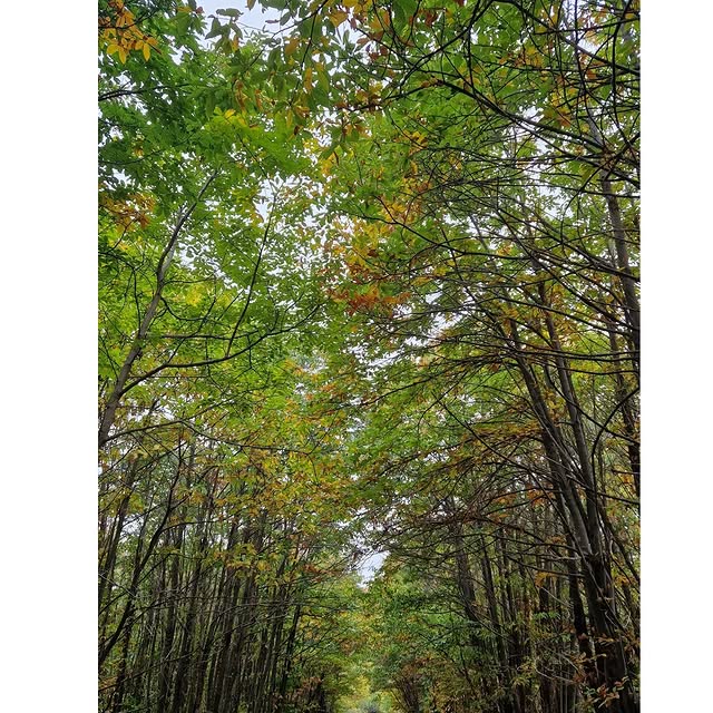  ............_fatamorgana   'recent posts' 