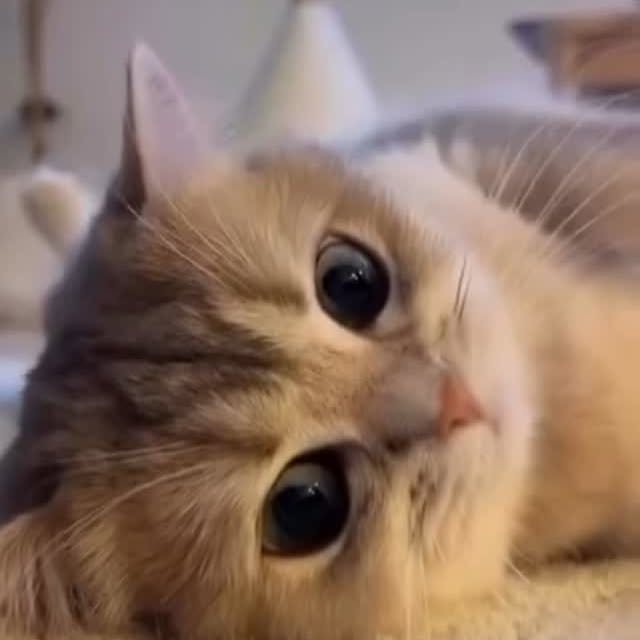  ......f_day_   'recent posts' 