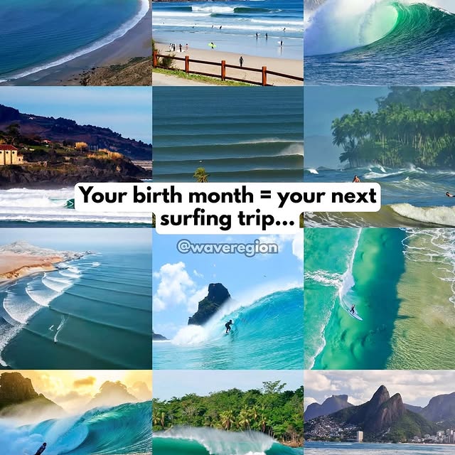  .....nique   'recent posts' 