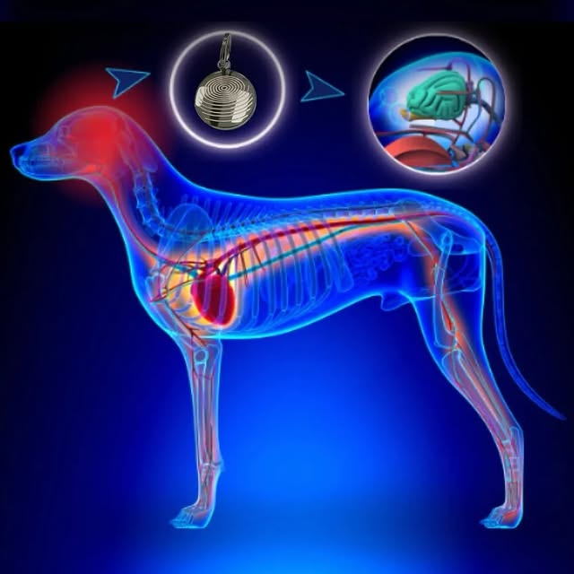  ......ers4u_   'recent posts' 