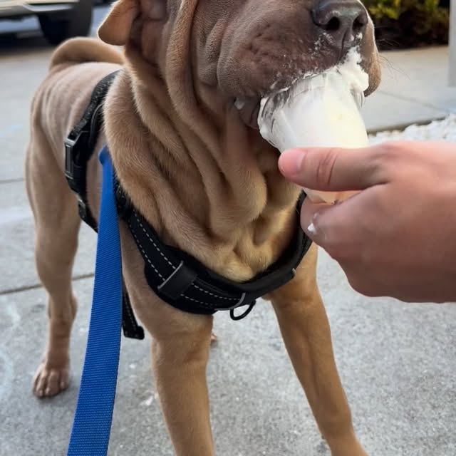  ......i.world   'recent posts' 