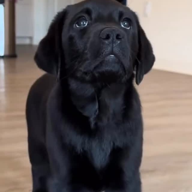  .......r_class   'recent posts' 