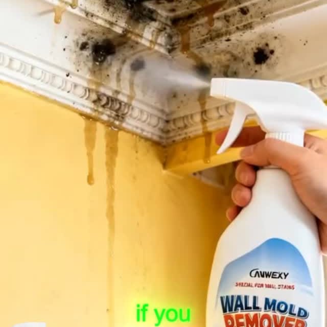  .......ehacks1   'recent posts' 