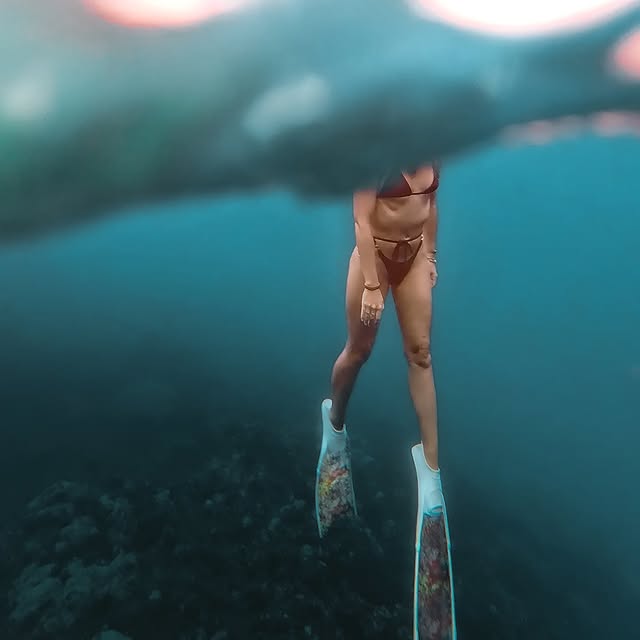  ......uecoast   'recent posts' 