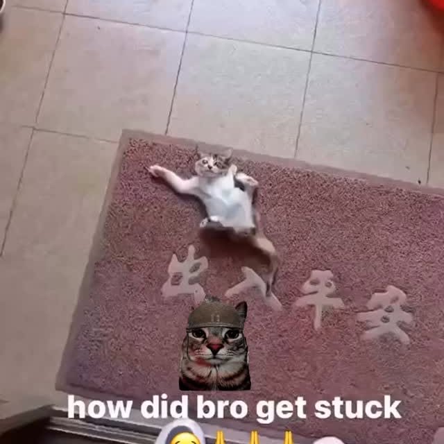  ....eowsy   'recent posts' 