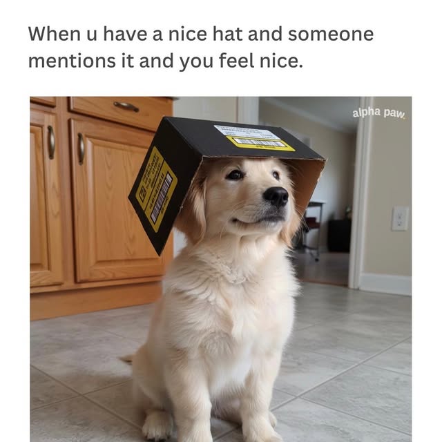  ..ps   'recent posts' 