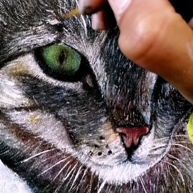  ....pala   'recent posts' 