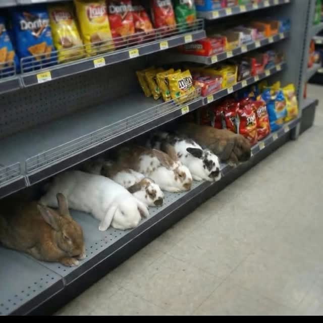  .......inheart   'recent posts' 