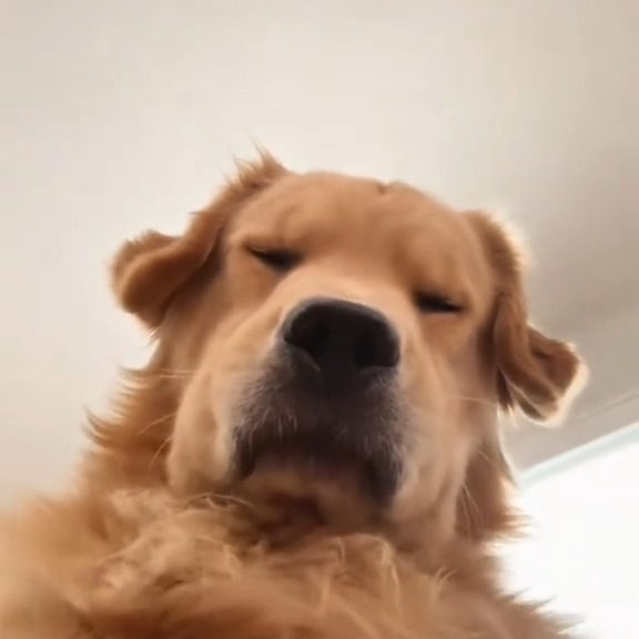  .....sland   'recent posts' 