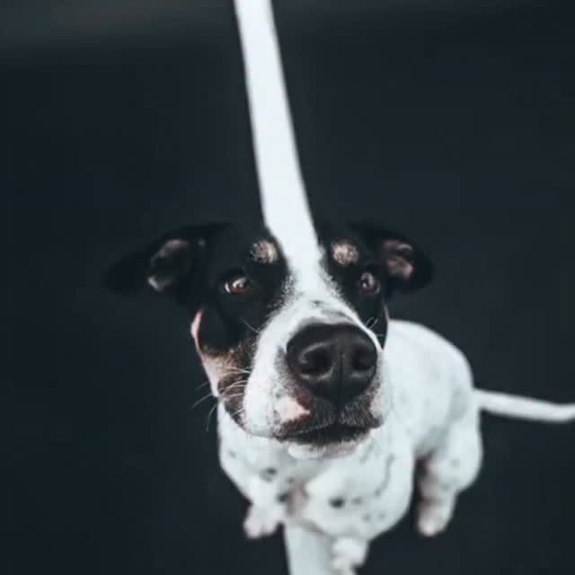  ....vita   'recent posts' 