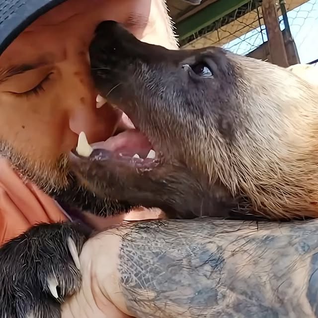  ........malsgram   'recent posts' 