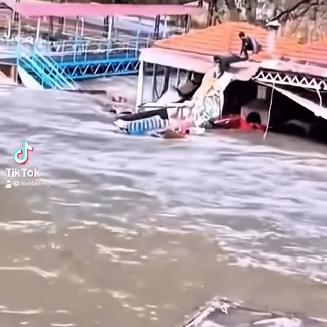  ......estige   'recent posts' 