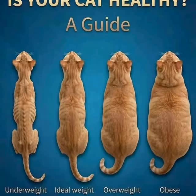  ......lyfans   'recent posts' 